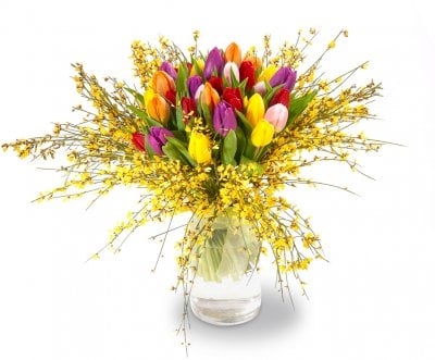 Jocelyn (Small 19 Stems)