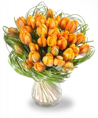 Matthias (Small 19 Stems)