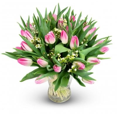 Melissa (Small 19 Stems)