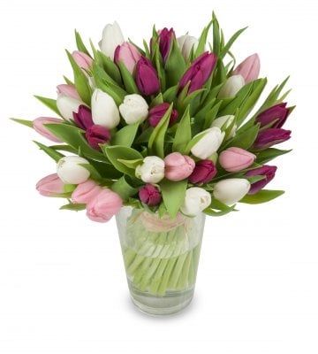 Mouriel (Small 21 Stems)