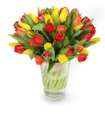 Nina (Small 21 Stems)