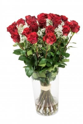 Karine (Small 11 Stems)