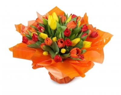 Pauline (Small 21 Stems)