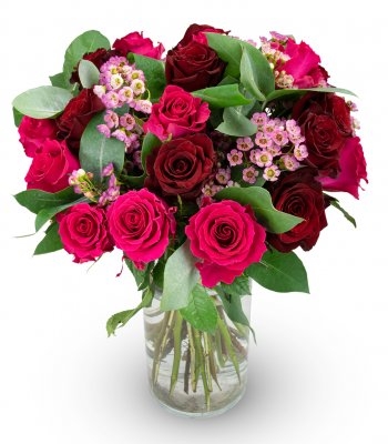 Red Clair (Small)