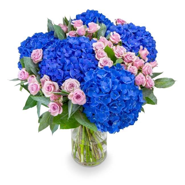 Bouquet of hydrangeas and spray roses - Philippe (small)