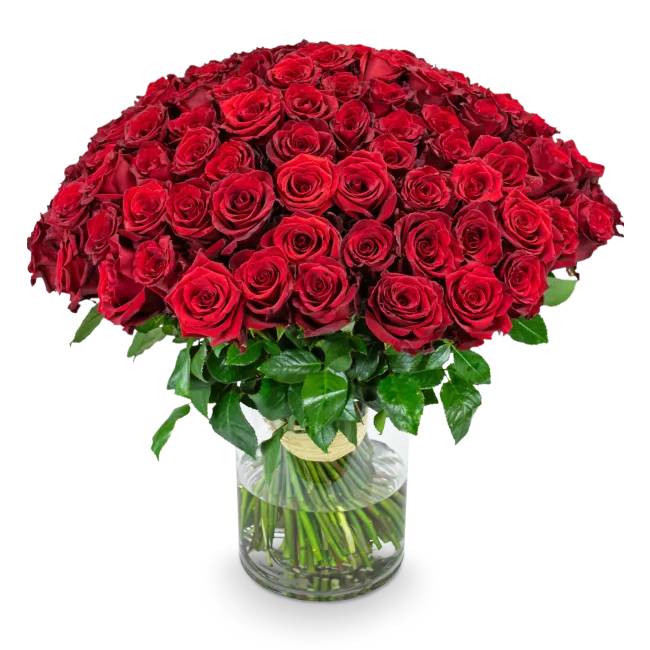 bouquet of roses – Mercedes (11 Stems)