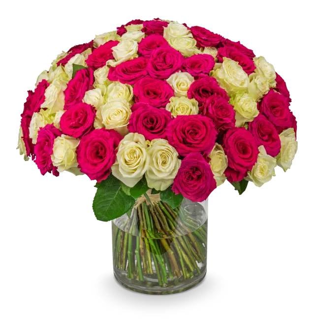 Bouquet of pink and white roses – Rosine (11 Stems)