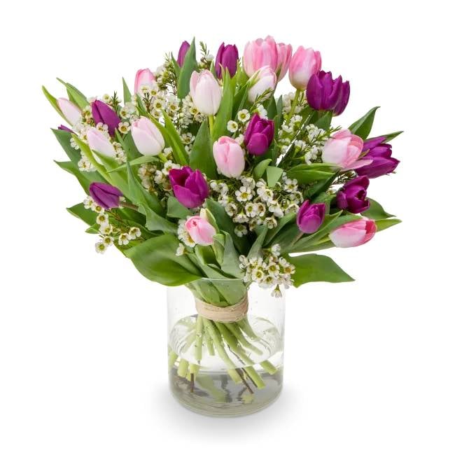 Bouquet of tulips purple – Bella (Small)