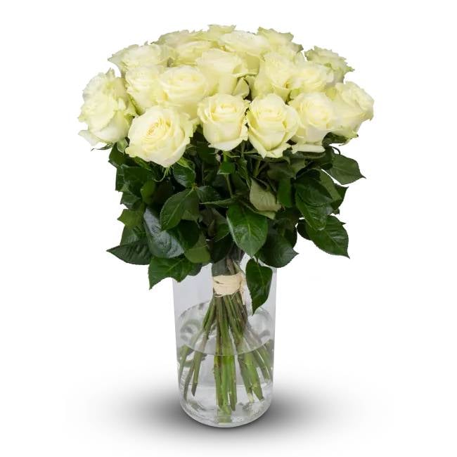 bouquet of Ecuadorian roses 80cm – Aimee (Small)
