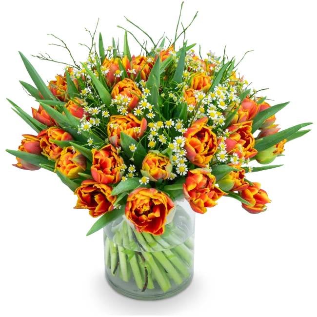 Bouquet of premium tulips – Queensday (Small)