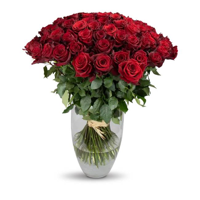 Bouquet of Ecuadorian roses 80 cm – 100 Stems