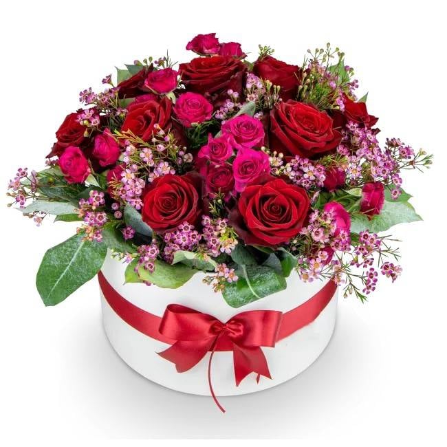 Box of red and pink roses – Magenta (Small)