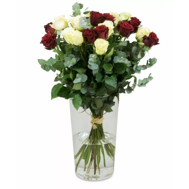 Bouquet of Ecuadorian roses – Vanessa (Small)