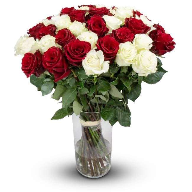 Flowers of ecuadorian roses – Vilette (11 Stems)