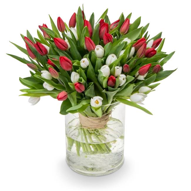 Bouquet of red tulips – Killian (Small 21 psc)