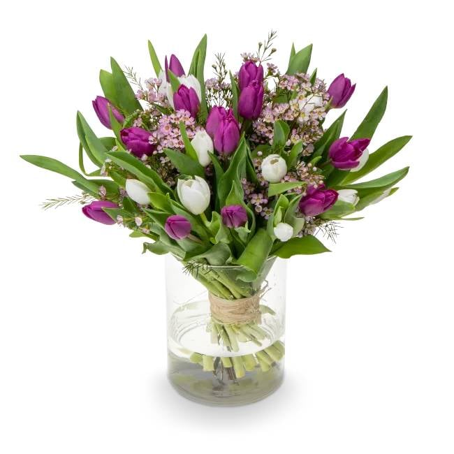 Bouquet of tulips – Amadine (Small)