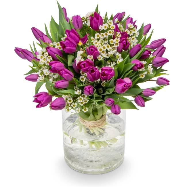 Bouquet of purple tulips – Priscilla (Small)