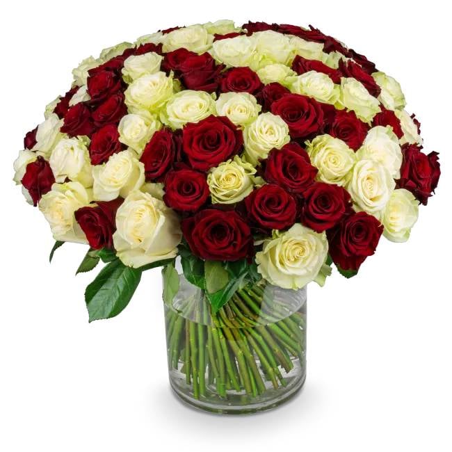 Boquet of white and red roses – Sarah (11 Stems)