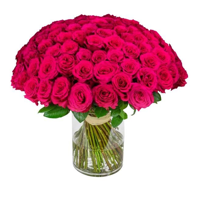 Bouquet of pink roses – Elie (11 Stems)