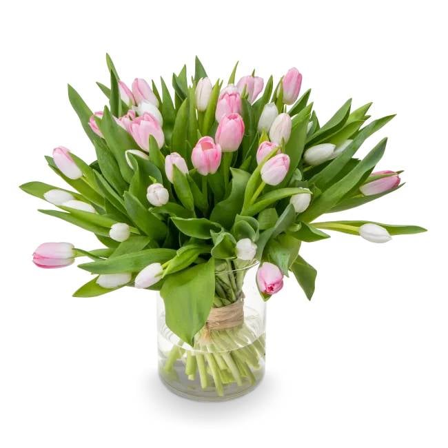 Bouquet of pink tulips – Barbara (Small 21 psc)