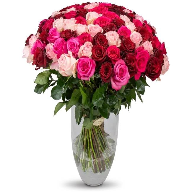 Ecuadorian roses – Christelle (Small)