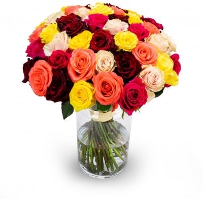 Suzanne (Small 11 Stems)