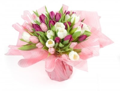 Tulipe - pink tulip (Small 21 psc)