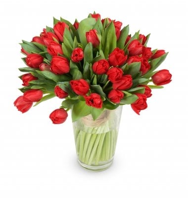 Victorie (Small 21 Stems)