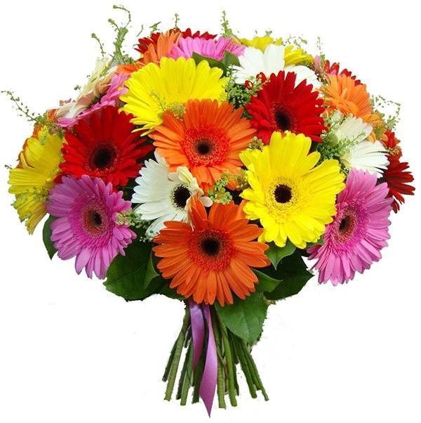 Fabulous Gerberas Bouquet (regular)