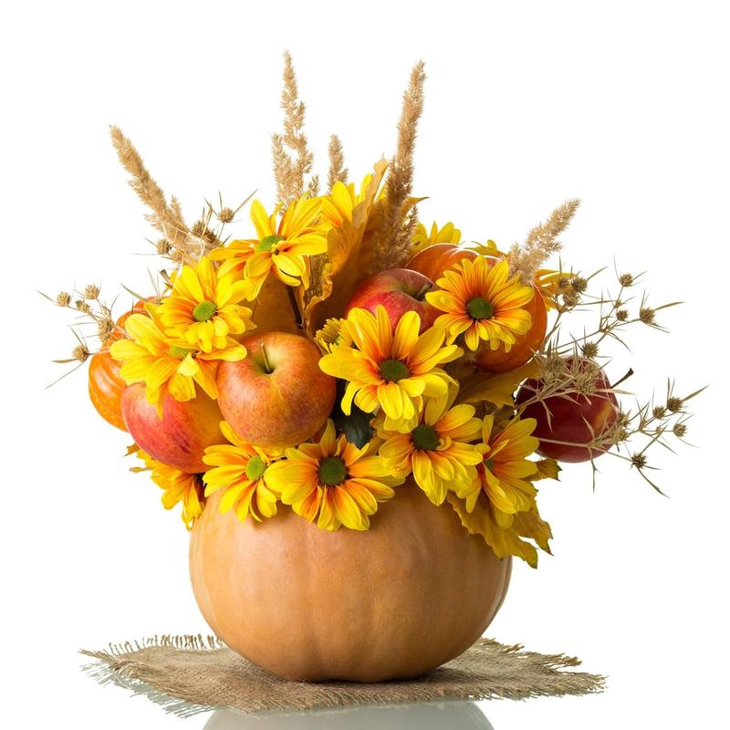 Harvest Pumpkin (Regular)