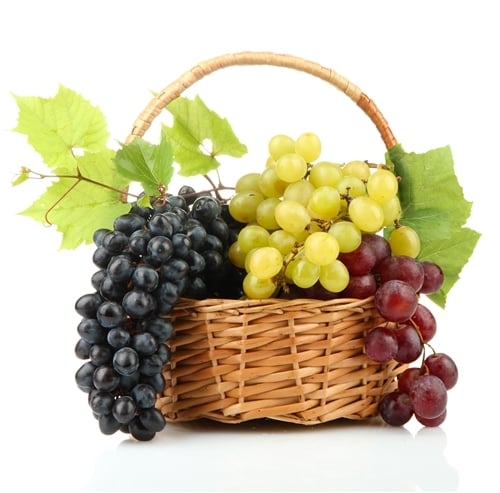 Grape Paradise Gift Basket