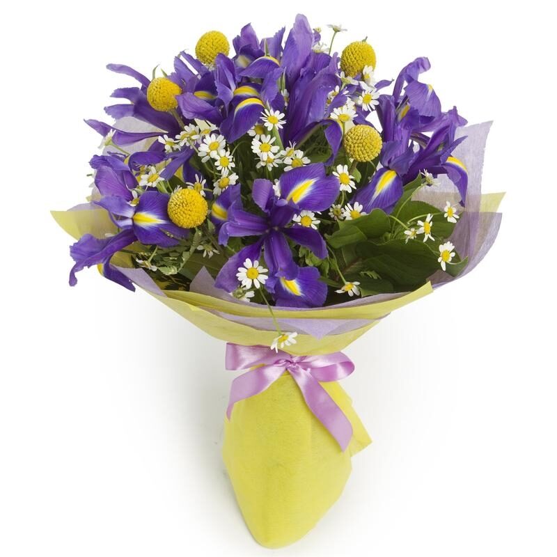 The Bluebird Bouquet (regular)