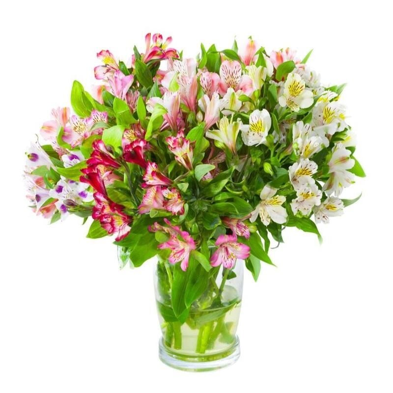 Alstroemeria Touch Bouquet
