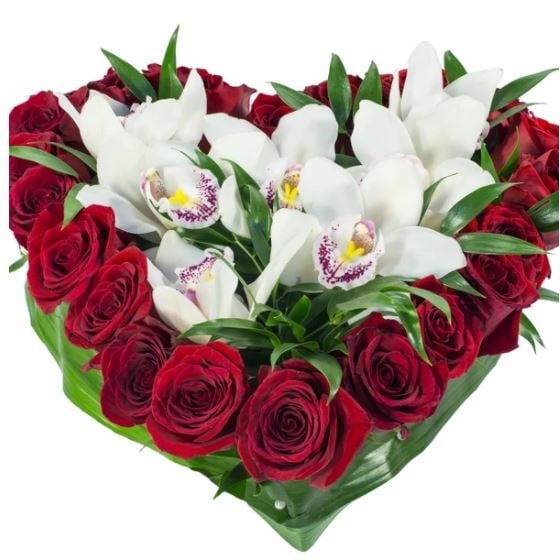 Double Pleasure Arrangement