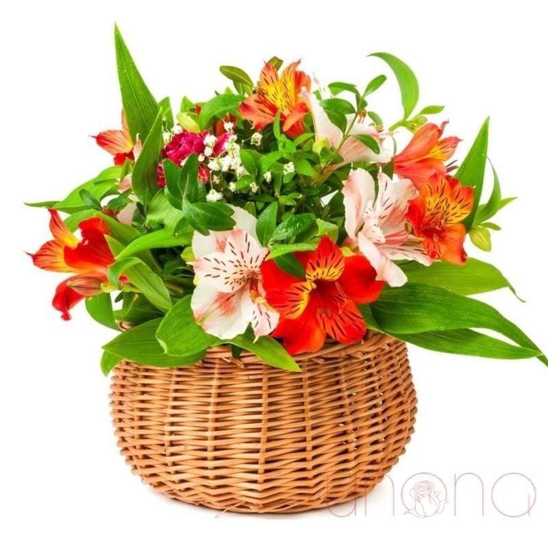 The Best Of You Arrangement
