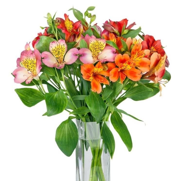 Shades Of Joy Bouquet