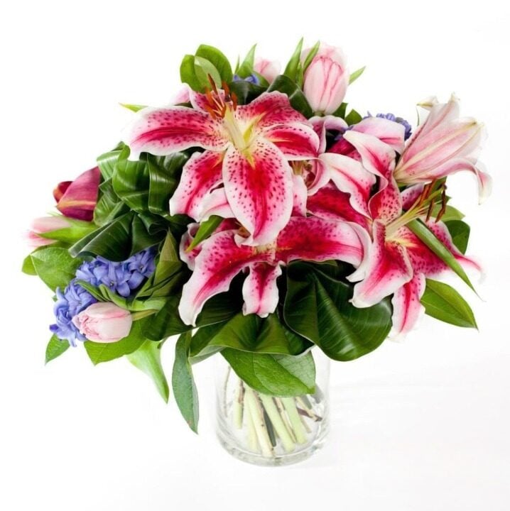 Blossoming Wishes Bouquet - 3 Lilies & 7 Tulips (regular - fresh, quality flowers)