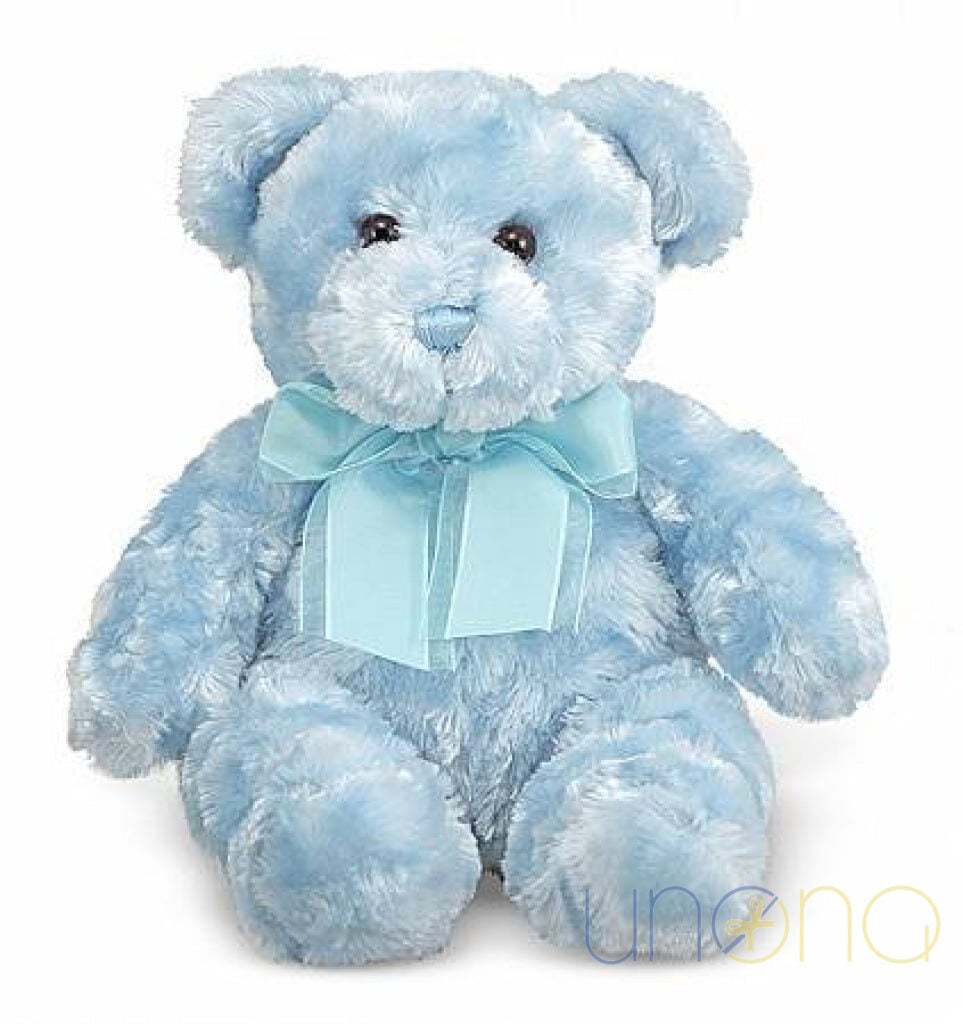 Blueberry Teddy Bear