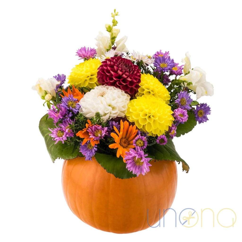 Fall Pumpkin Celebration