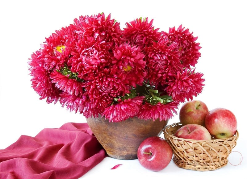 Fall Specials Gift Set