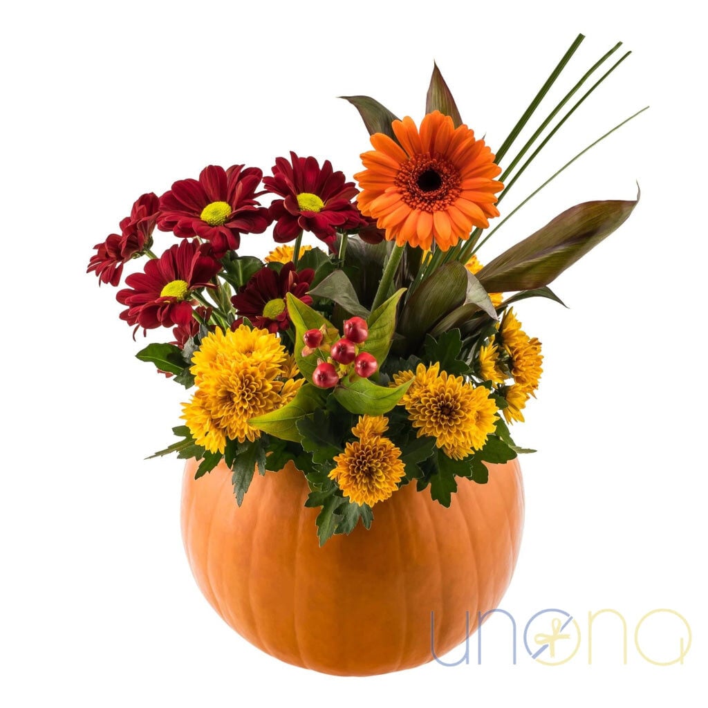 Golden Autumn Pumpkin Patch
