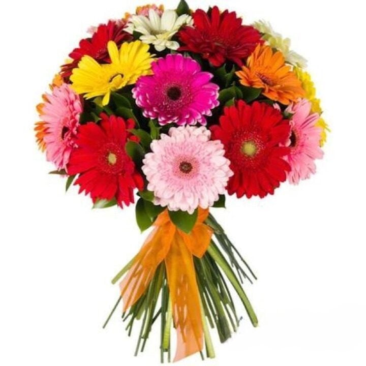 Happy Moment Gerberas Bouquet (regular - fresh, quality flowers)