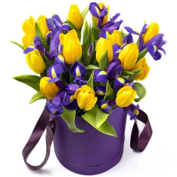 Irises and Tulips Love Arrangement - Flower Gift Box (regular - fresh, quality flowers)
