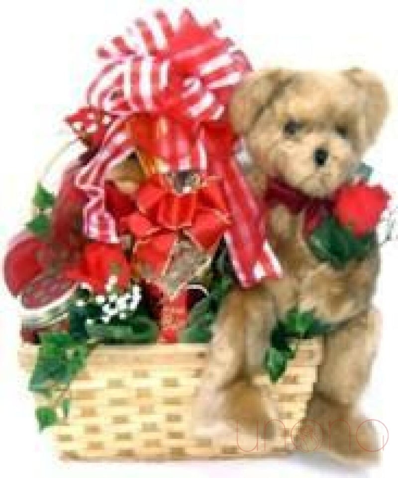 Lovely Basket with a Teddy Bear (Regular)