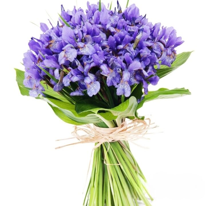 Lovely Blue Bouquet