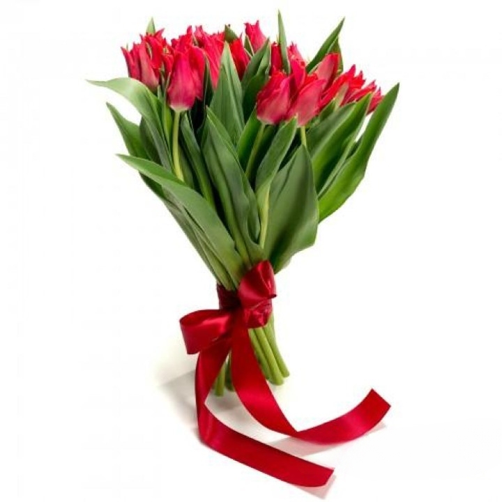 Magnificent Tulips Bouquet (red)
