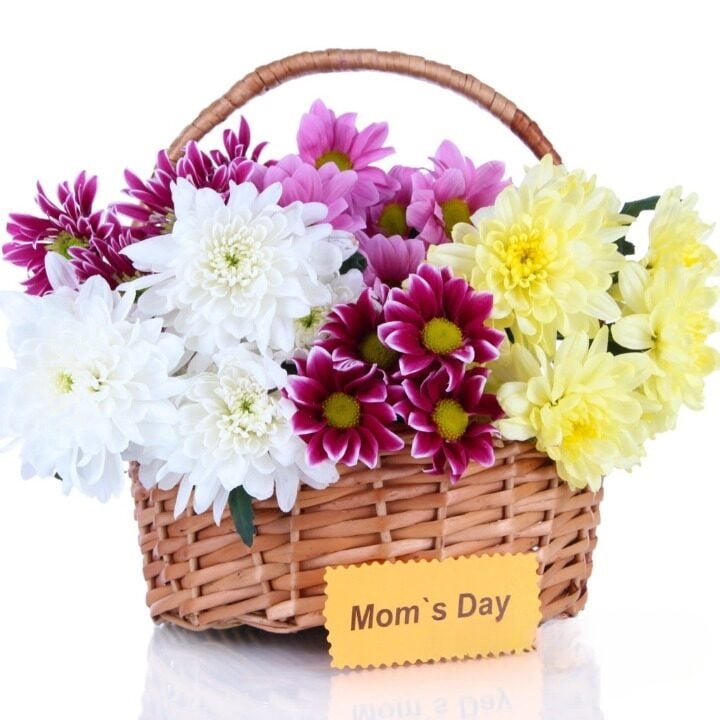 MOM'S DAY FLOWERS BASKET