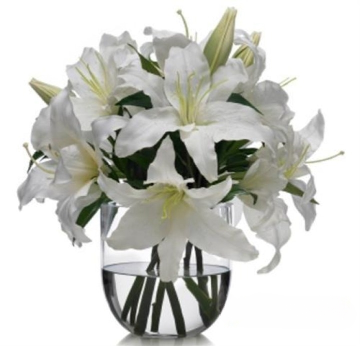 Pretty White Lilies