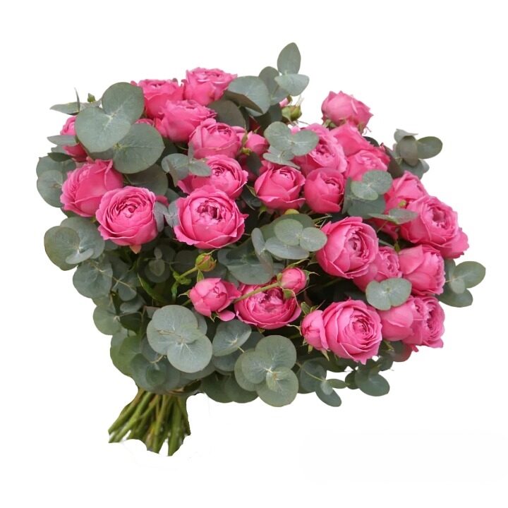 Spray Peony Roses Bouquet with Eucalyptus (7 roses )