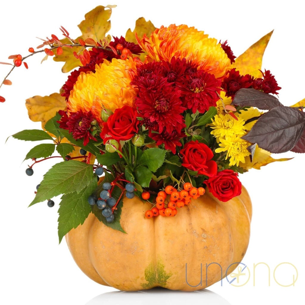 Thanks-for-Giving a Pumpkin